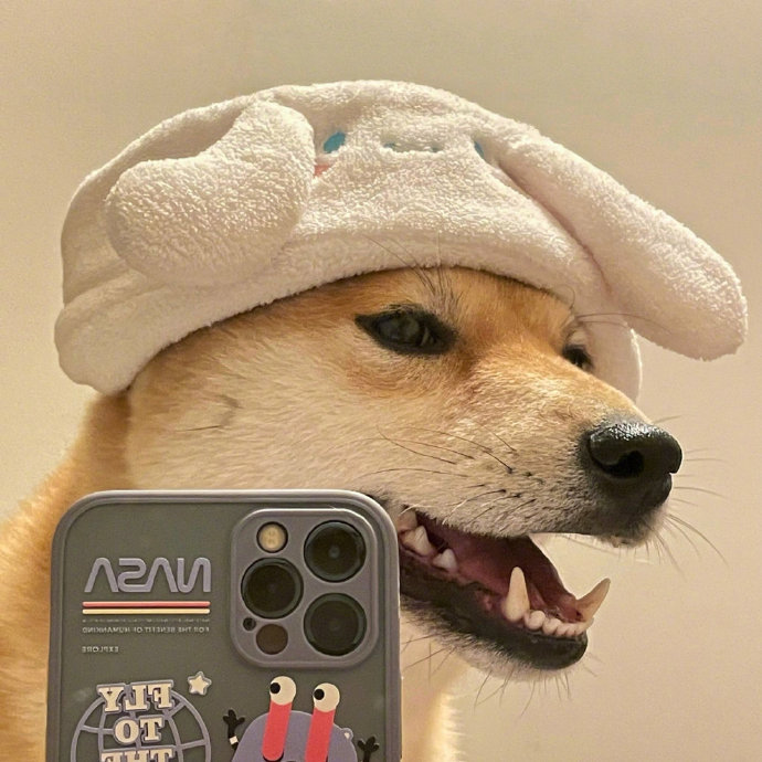 修狗自拍头像__财经头条