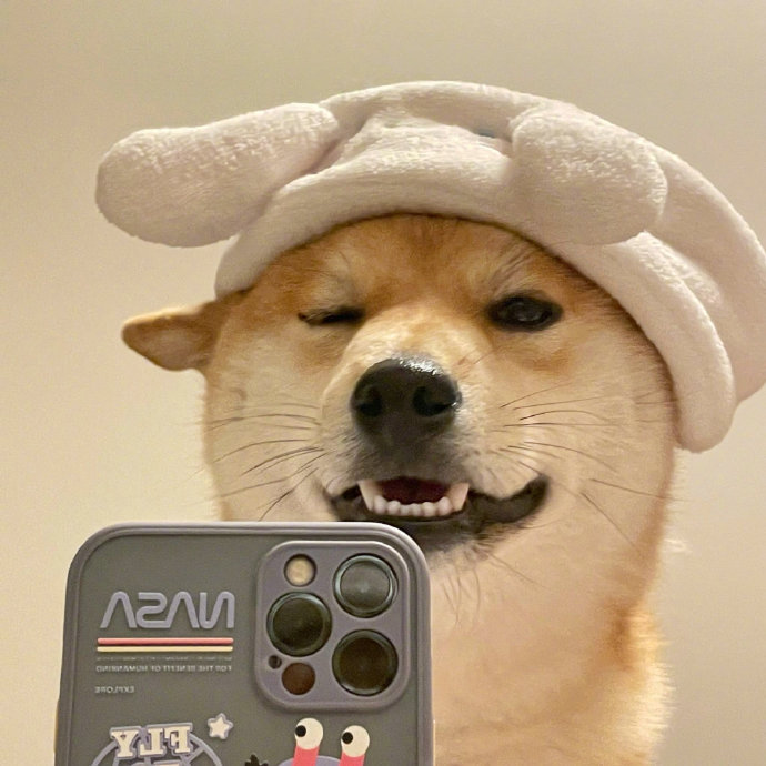 修狗自拍头像__财经头条