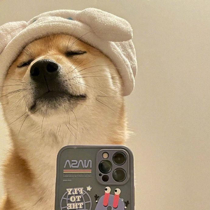 修狗自拍头像__财经头条