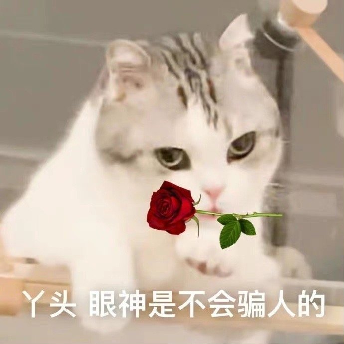丫头文学表情包_高清图集_新浪网