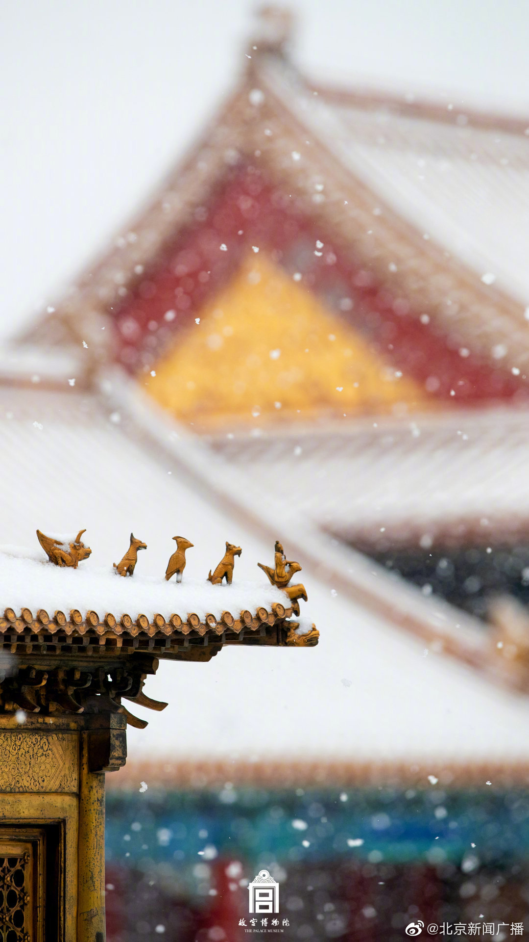 雪后的故宫就成了紫禁城!_高清图集_新浪网