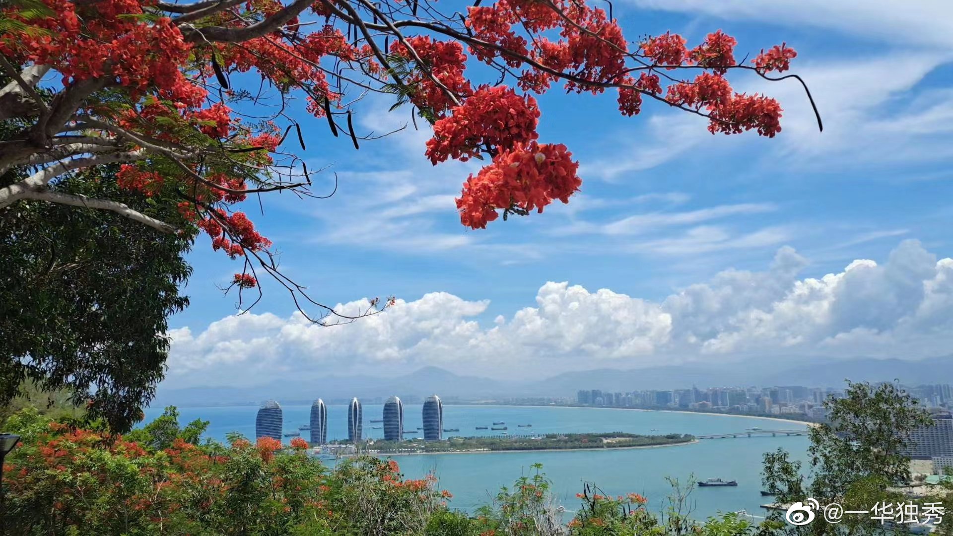 "七一"的海南:风华正茂,风景这边美好
