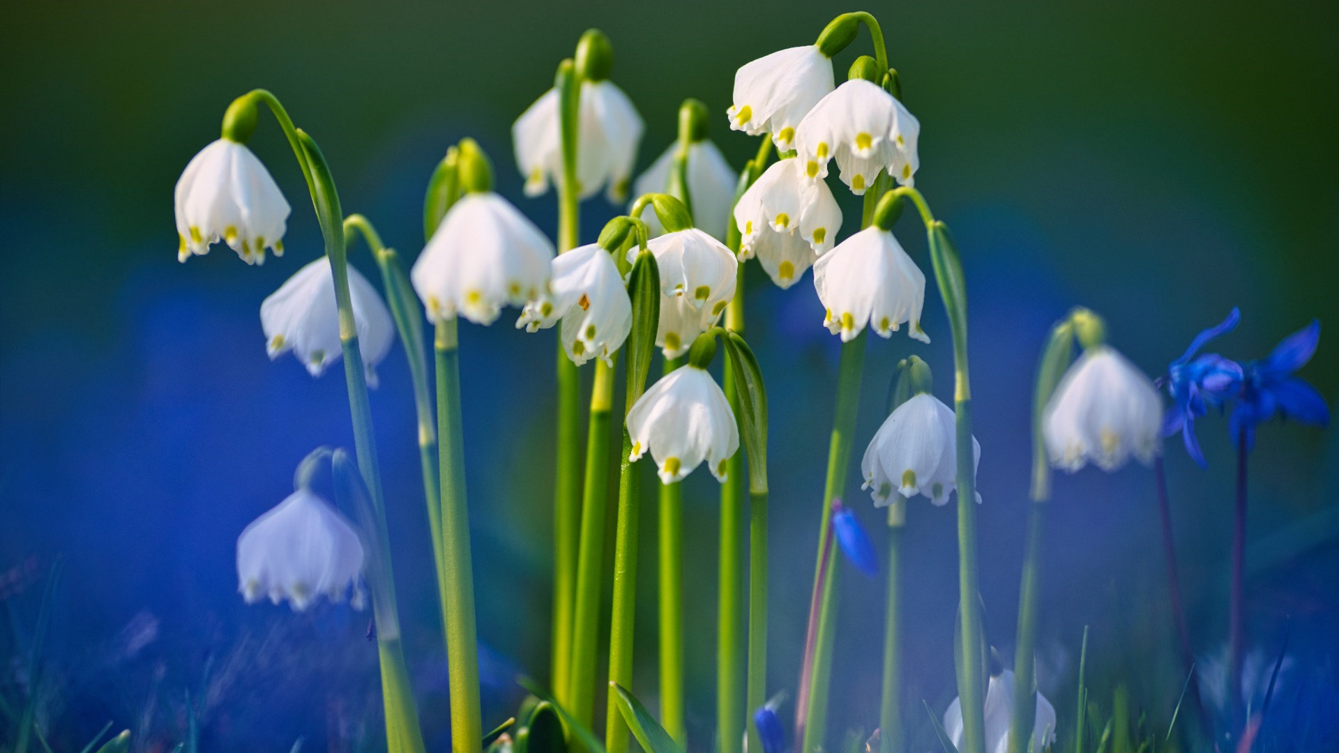 实战派的真理 检验标准与成功关键