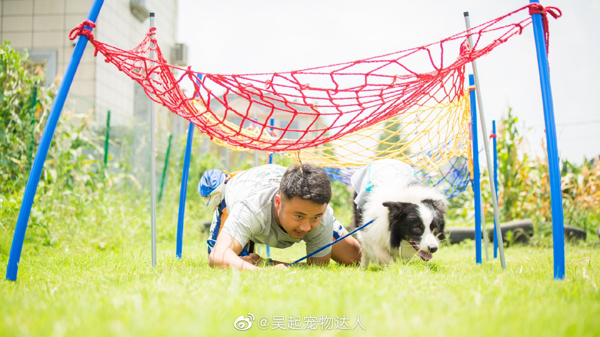 几年前专门给训犬班的学生们教了带狗匍匐前进的课程……__财经头条