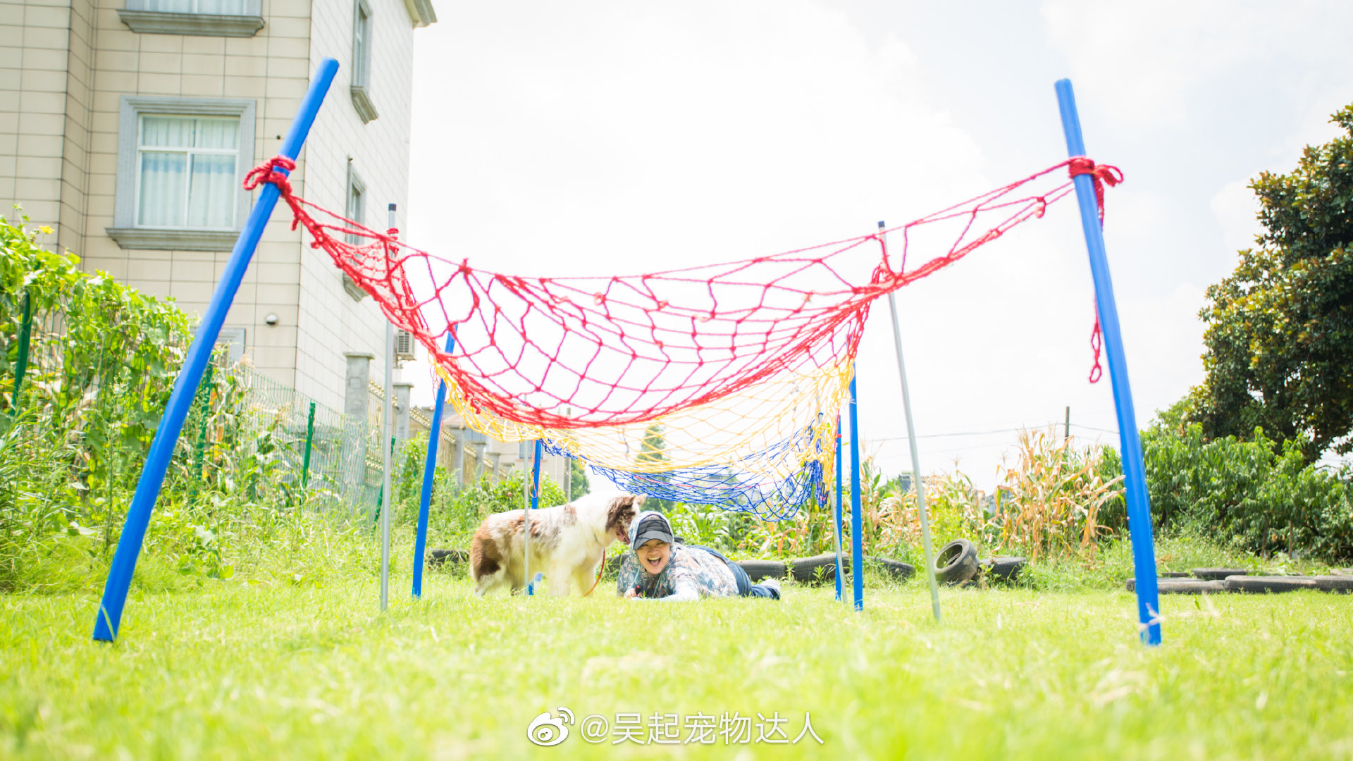 几年前专门给训犬班的学生们教了带狗匍匐前进的课程……__财经头条