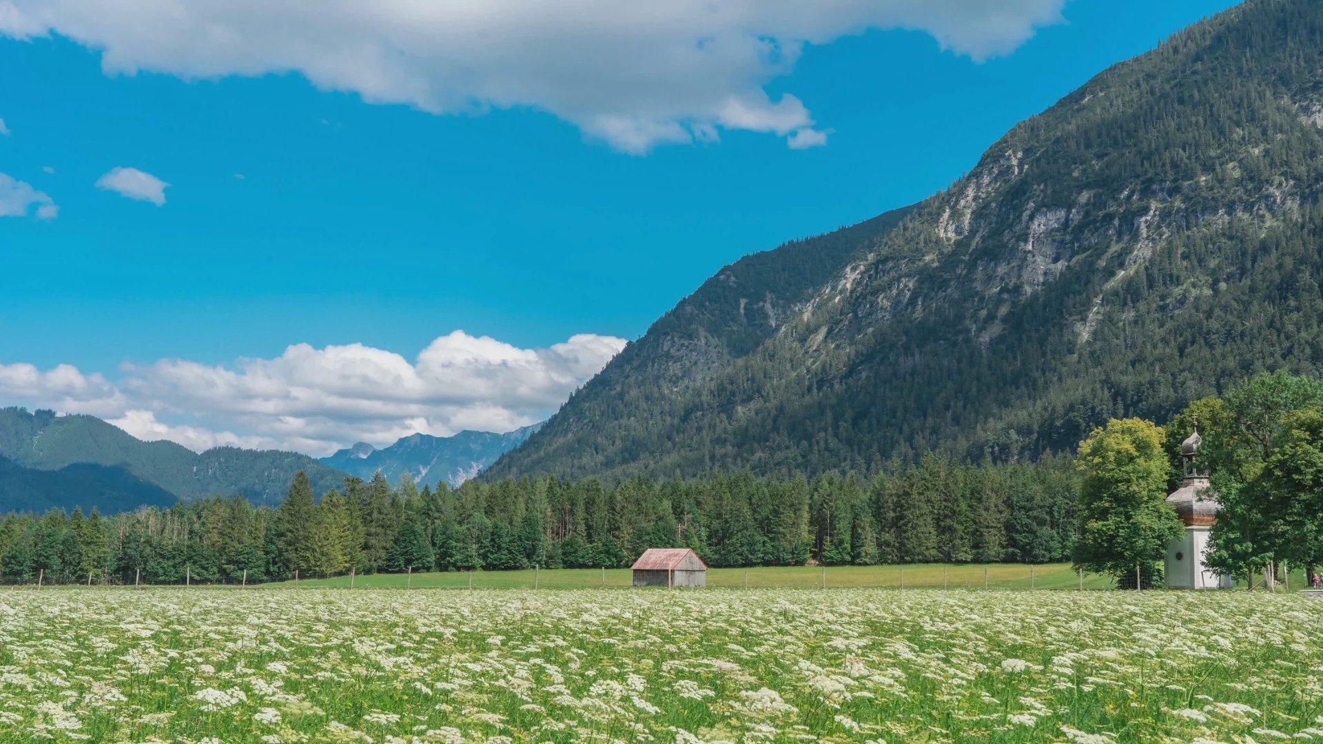 这种风格的ipad壁纸太可了!