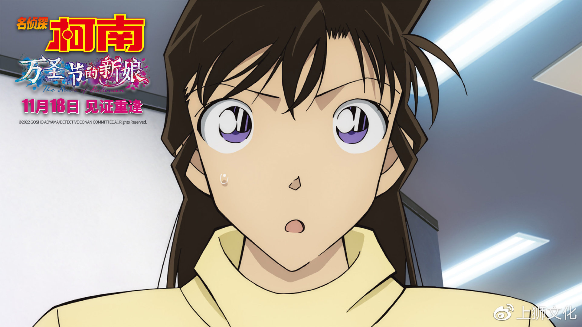《名侦探柯南：万圣节的新娘》定档11月18日 最“炸”剧场版震撼来袭|佐藤美和|高木涉|柯南剧场版_新浪新闻