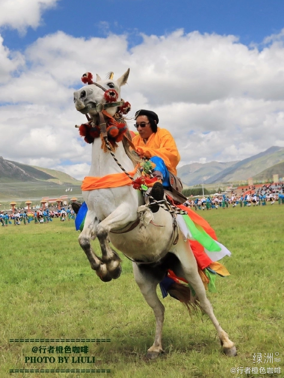 马背上的康巴汉子 青海玉树一年一度的赛马节又快到了