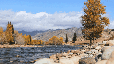 总要在秋天去一次北疆吧!一年仅3周的秋色,惊艳回归休闲区蓝鸢梦想 - Www.slyday.coM 总要在秋天去一次北疆吧!一年仅3周的秋色,惊艳回归休闲区蓝鸢梦想 - Www.slyday.coM