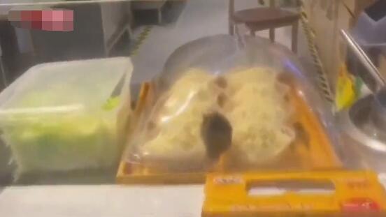 高速公路服务区一餐饮店柜台有老鼠偷吃面条休闲区蓝鸢梦想 - Www.slyday.coM 高速公路服务区一餐饮店柜台有老鼠偷吃面条休闲区蓝鸢梦想 - Www.slyday.coM