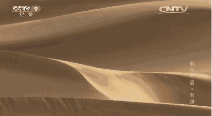 总要在秋天去一次北疆吧!一年仅3周的秋色,惊艳回归休闲区蓝鸢梦想 - Www.slyday.coM 总要在秋天去一次北疆吧!一年仅3周的秋色,惊艳回归休闲区蓝鸢梦想 - Www.slyday.coM