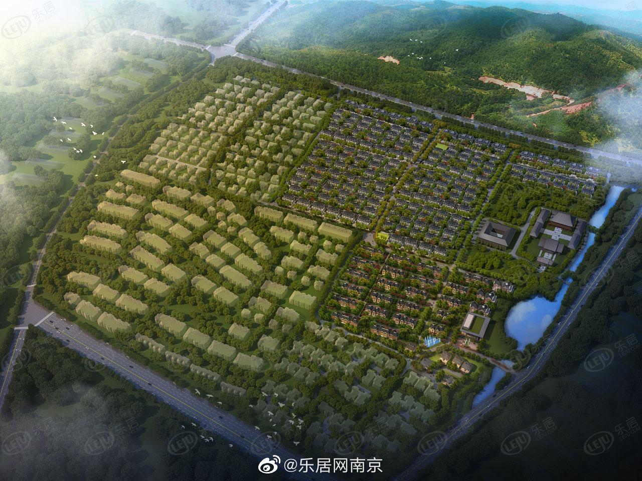 浦口金基九月森林_高清图集_新浪网