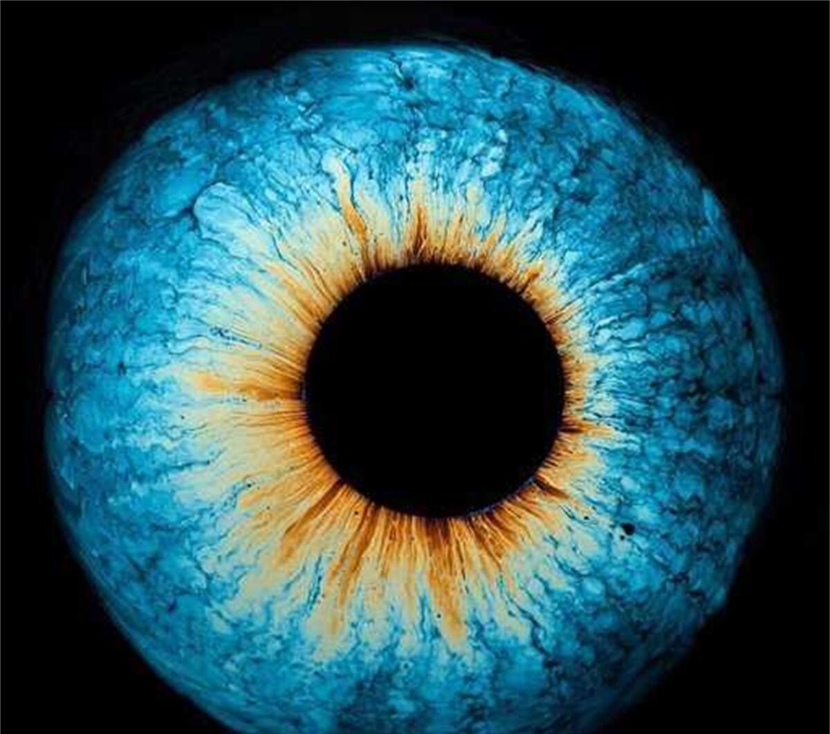 34张不可思议的照片,居然没有一张PS过休闲区蓝鸢梦想 - Www.slyday.coM 34张不可思议的照片,居然没有一张PS过休闲区蓝鸢梦想 - Www.slyday.coM