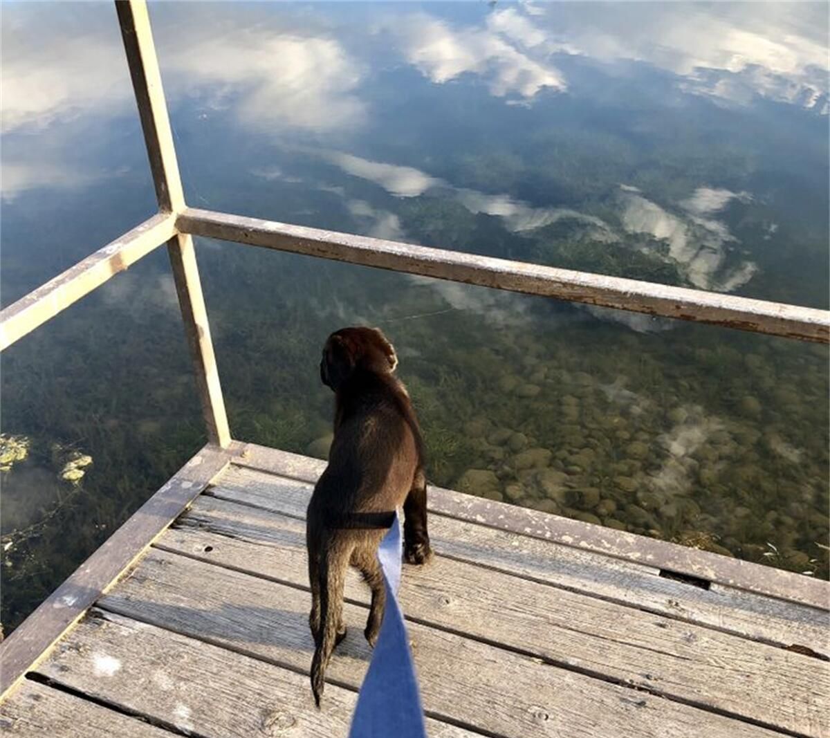 34张不可思议的照片,居然没有一张PS过休闲区蓝鸢梦想 - Www.slyday.coM 34张不可思议的照片,居然没有一张PS过休闲区蓝鸢梦想 - Www.slyday.coM