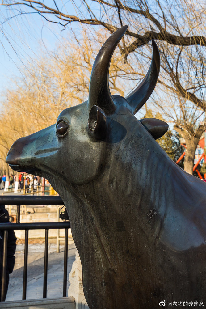 颐和园昆明湖旁的大铜牛,相信大家都看到过,乾隆御制之物
