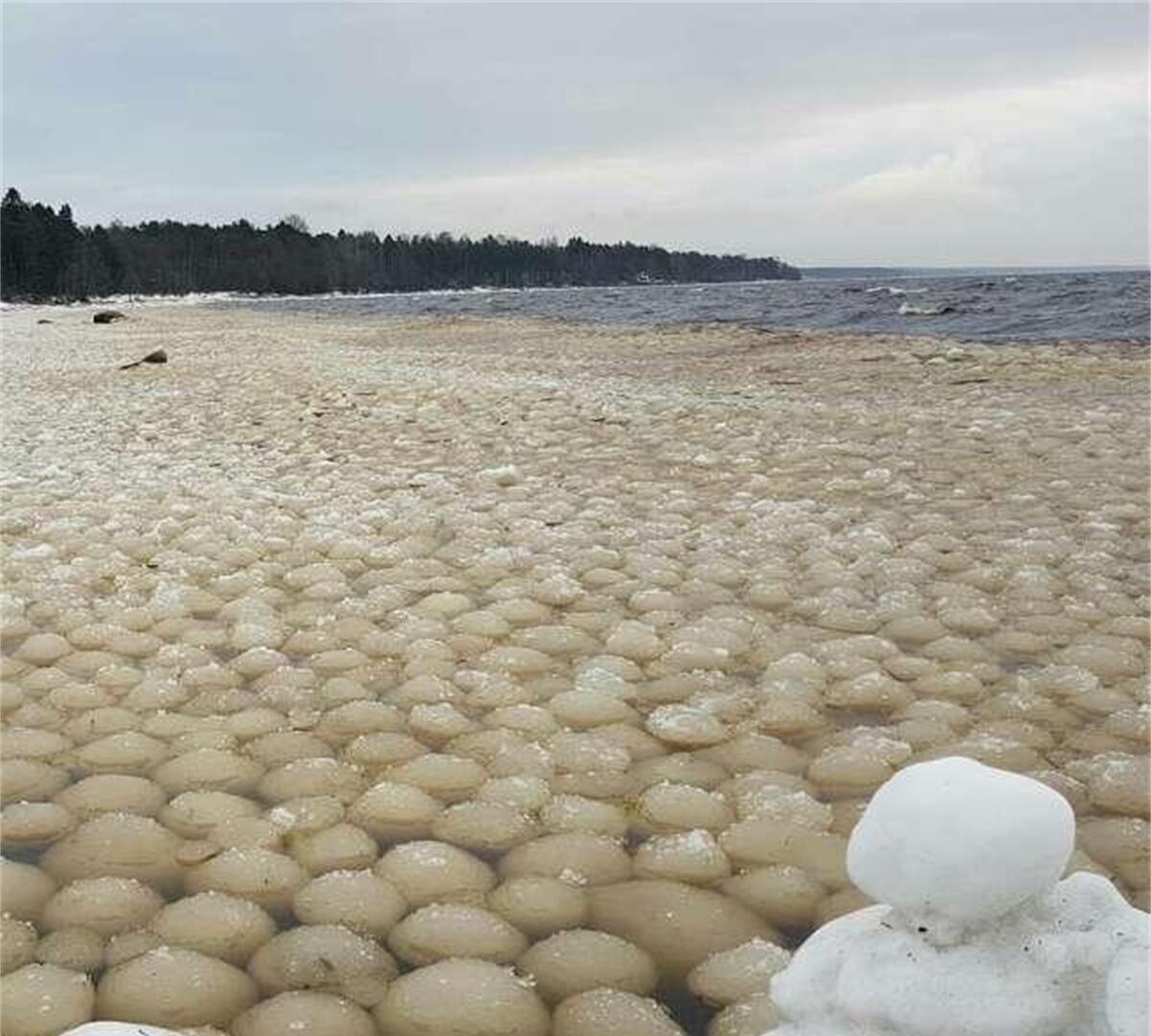 34张不可思议的照片,居然没有一张PS过休闲区蓝鸢梦想 - Www.slyday.coM 34张不可思议的照片,居然没有一张PS过休闲区蓝鸢梦想 - Www.slyday.coM