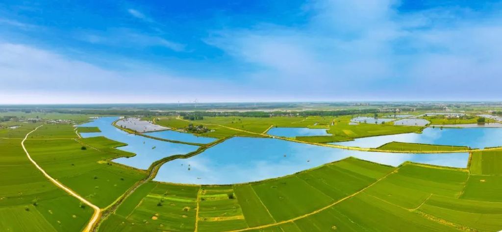 安徽阜南蒙洼夏日61别样风景