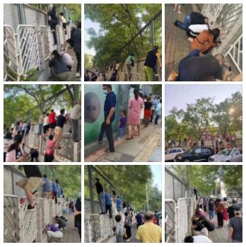 “神兽”归笼！今日的校园围墙上长满了家长休闲区蓝鸢梦想 - Www.slyday.coM