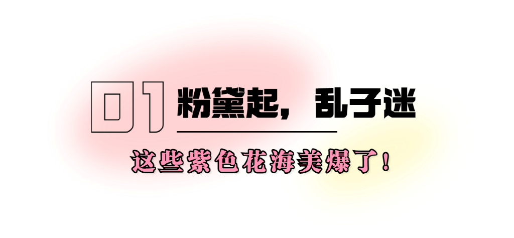 爱了，爱了！山东粉了！快来解锁氛围感大片全攻略！休闲区蓝鸢梦想 - Www.slyday.coM