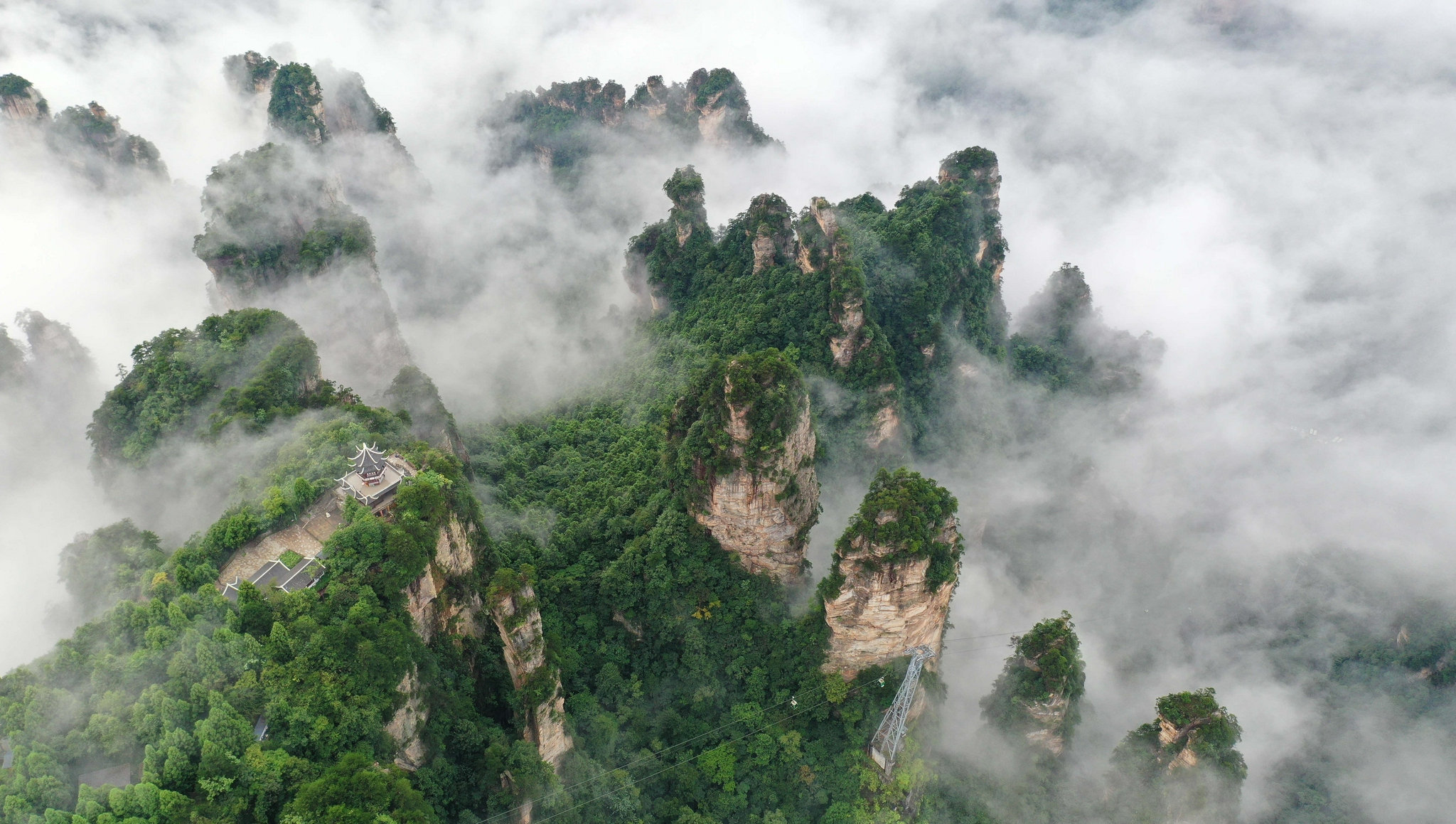 这是8月28日在张家界武陵源景区黄石寨拍摄的云海景观(无人机照片).