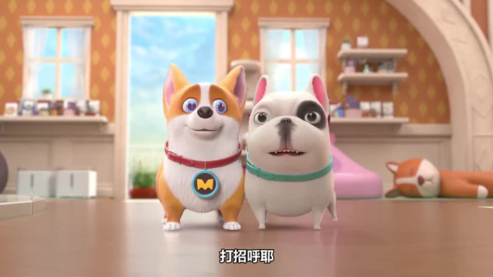 飞狗moco奥斯卡是我们宠物店的外交形象大使