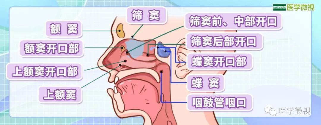 经常打喷嚏,流鼻涕,鼻堵,鼻痒