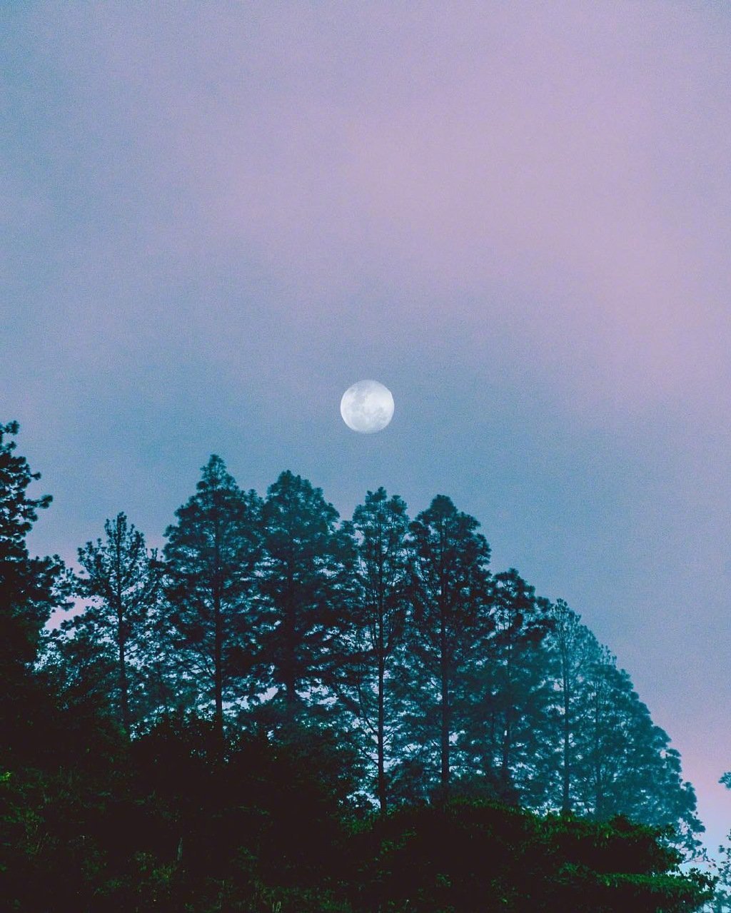 海上生明月,天涯共此时._高清图集_新浪网