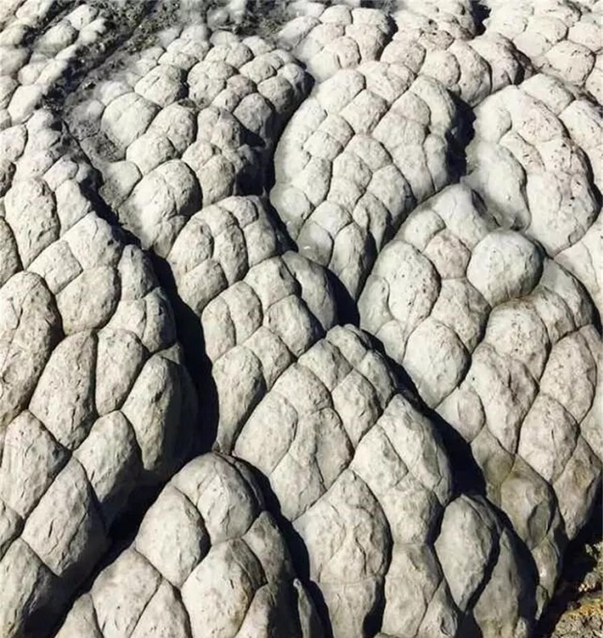 34张不可思议的照片,居然没有一张PS过休闲区蓝鸢梦想 - Www.slyday.coM 34张不可思议的照片,居然没有一张PS过休闲区蓝鸢梦想 - Www.slyday.coM