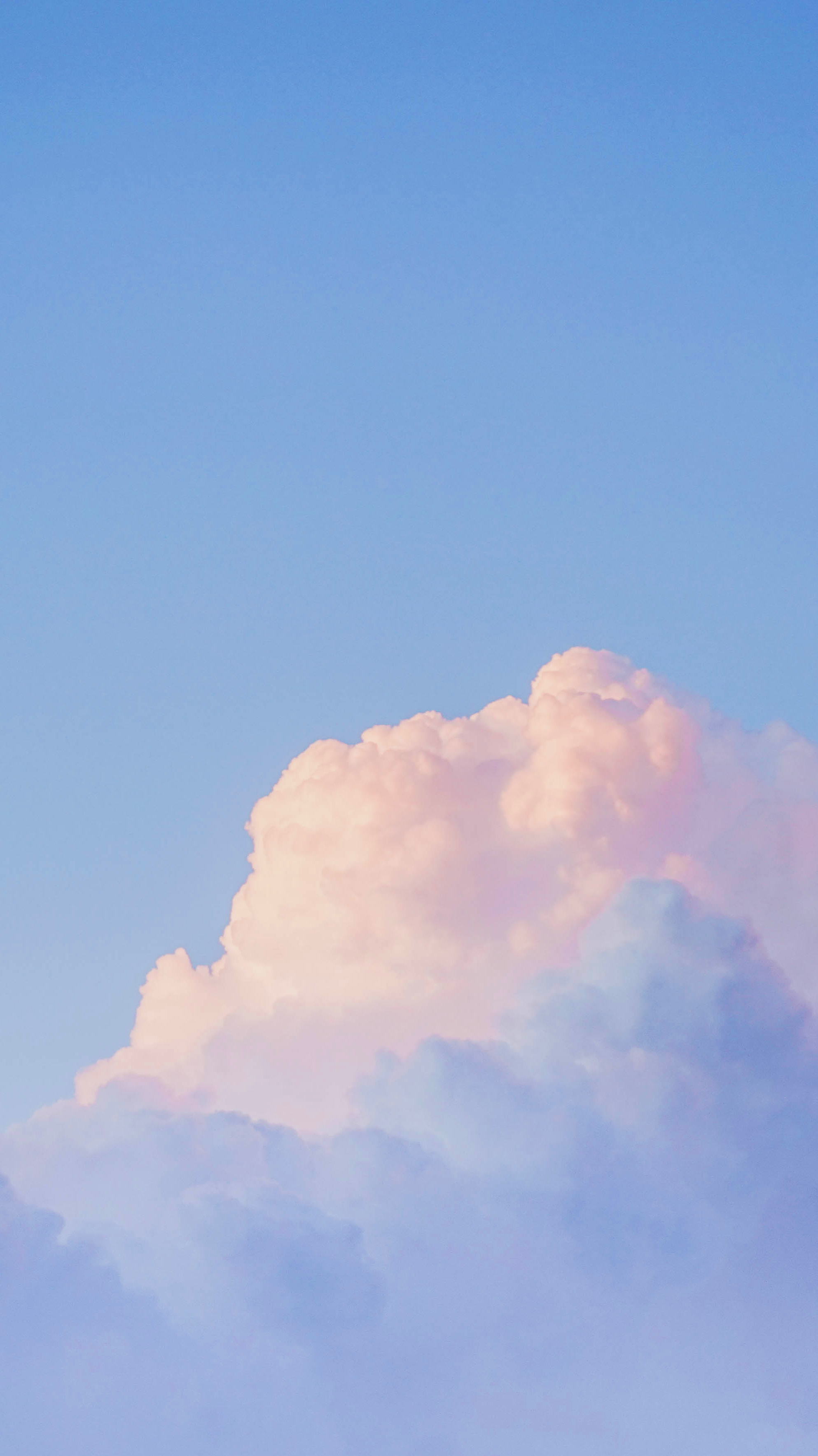 神仙壁纸|关于天空与自由的梦 「16:9手机壁纸版」 摄影