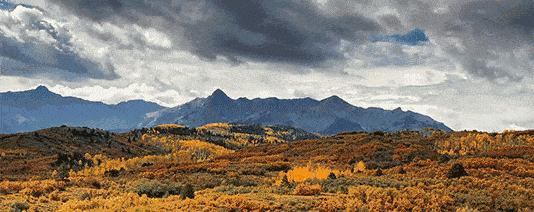 总要在秋天去一次北疆吧!一年仅3周的秋色,惊艳回归休闲区蓝鸢梦想 - Www.slyday.coM 总要在秋天去一次北疆吧!一年仅3周的秋色,惊艳回归休闲区蓝鸢梦想 - Www.slyday.coM