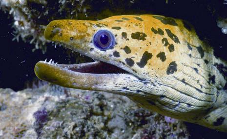 新闻搜索_新浪搜索_新浪网