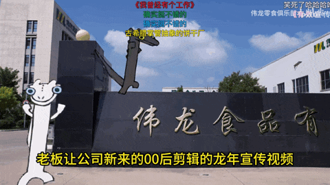 00后官号运营，正在用猫meme勇闯职场|表情包集锦|天猫|科技大公司|顺丰速运|小红书_新浪新闻
