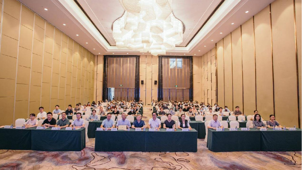 seo优化哪里有技术