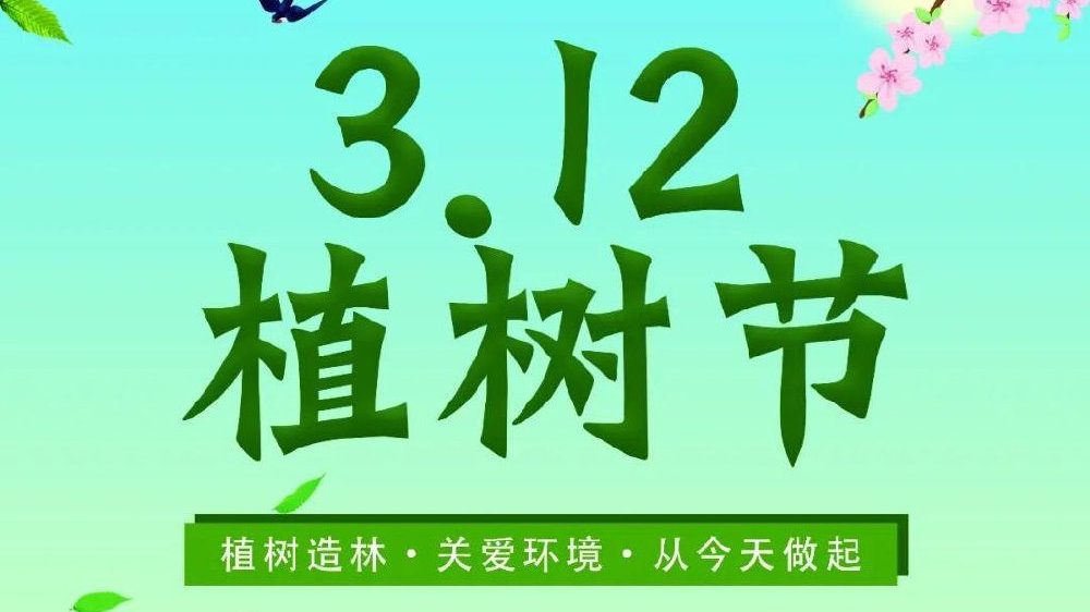 植树节的来历和意义是什么?|植树节|植树|树木|森林|林业_新浪新闻