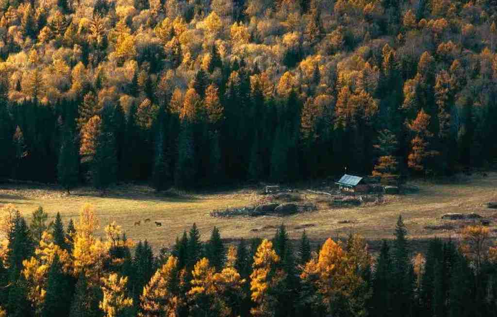 总要在秋天去一次北疆吧!一年仅3周的秋色,惊艳回归休闲区蓝鸢梦想 - Www.slyday.coM 总要在秋天去一次北疆吧!一年仅3周的秋色,惊艳回归休闲区蓝鸢梦想 - Www.slyday.coM
