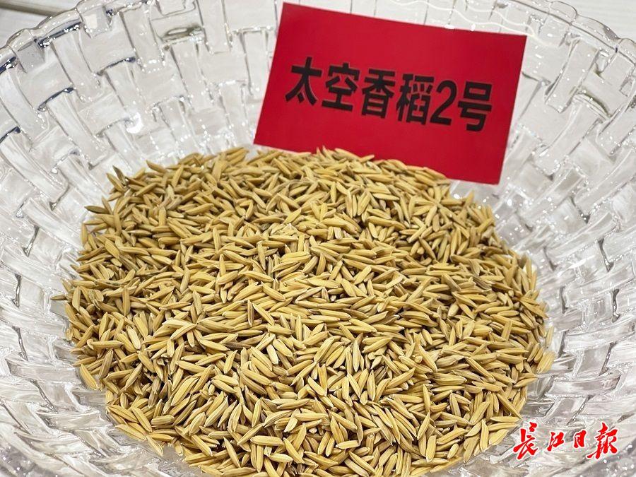 神舟十二号太空种子今日移交武汉