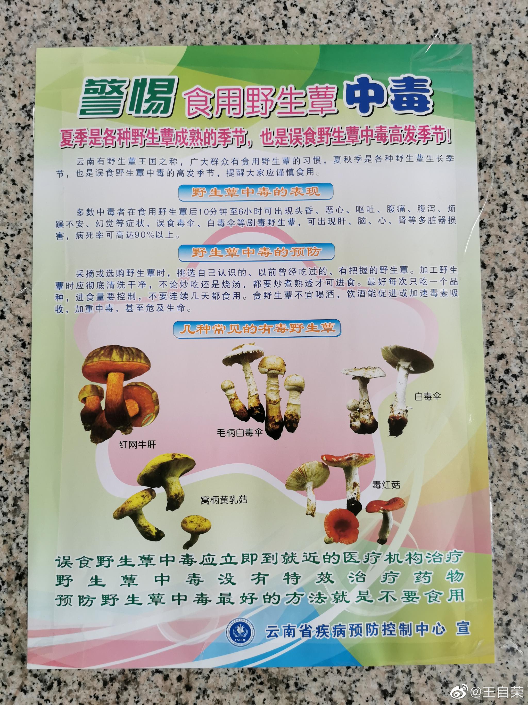 临沧市医院的防野生菌中毒宣传画与宣传栏.