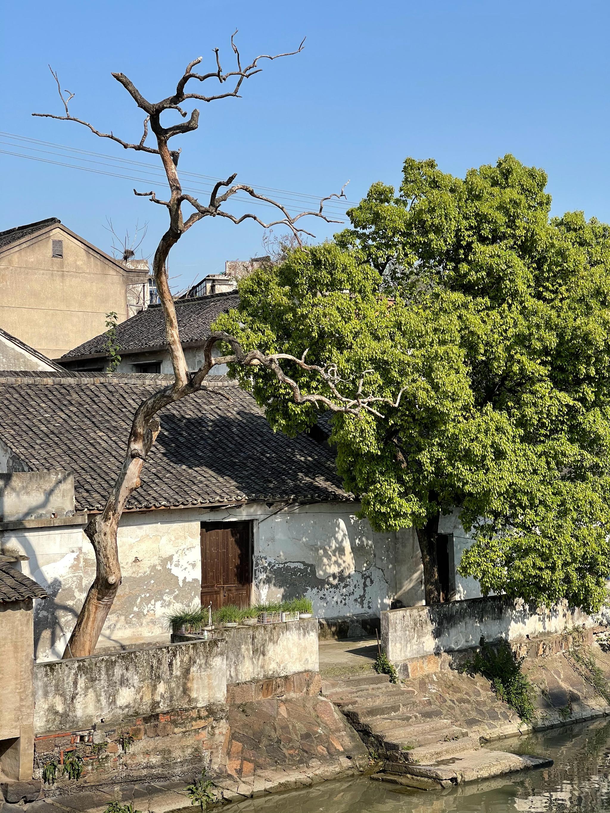 嘉兴市-桐乡市-石门镇 午后时光,安安逸逸 看到图九很穿越