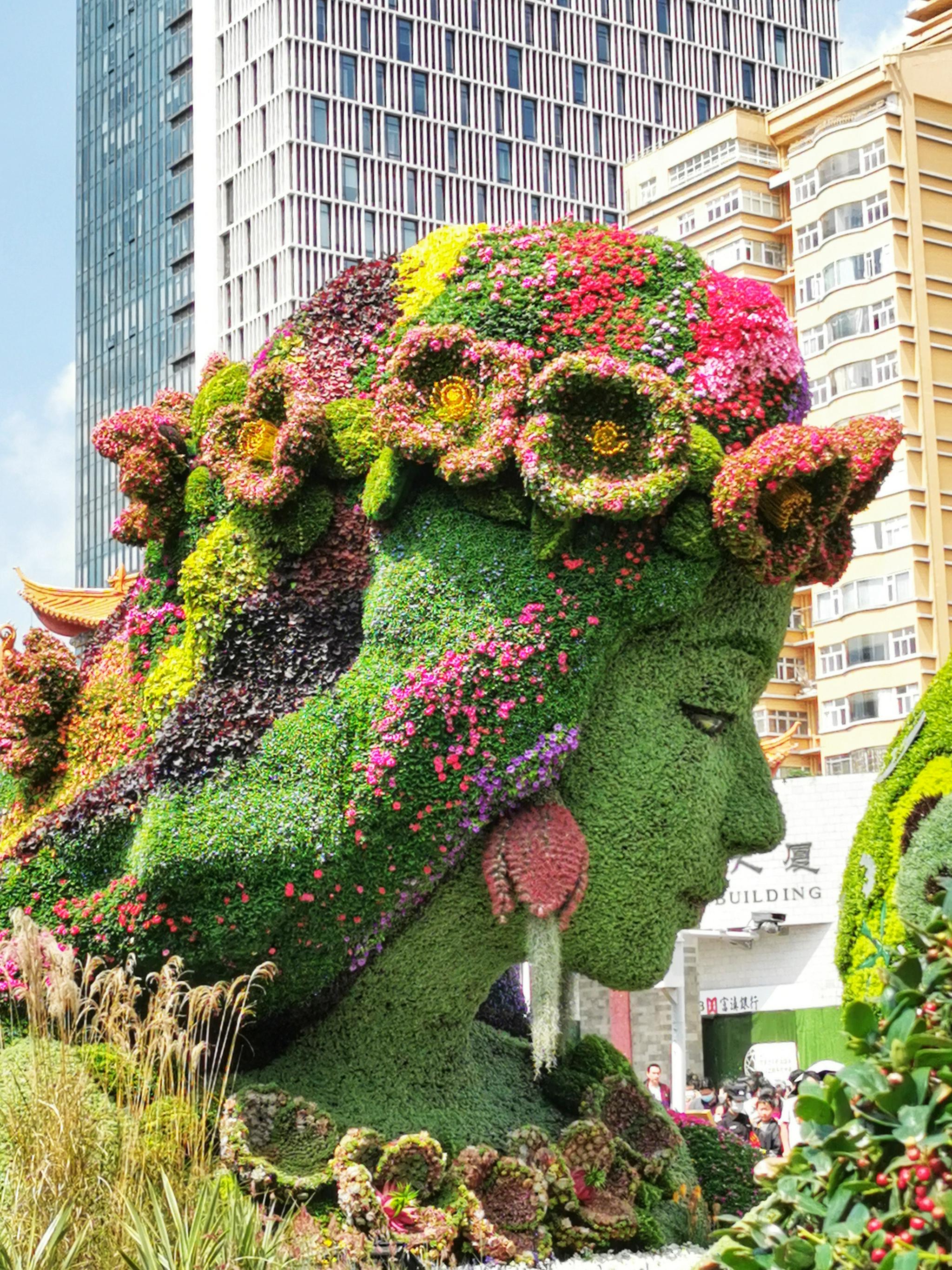 昆明立体花坛:共生共融(金碧广场)