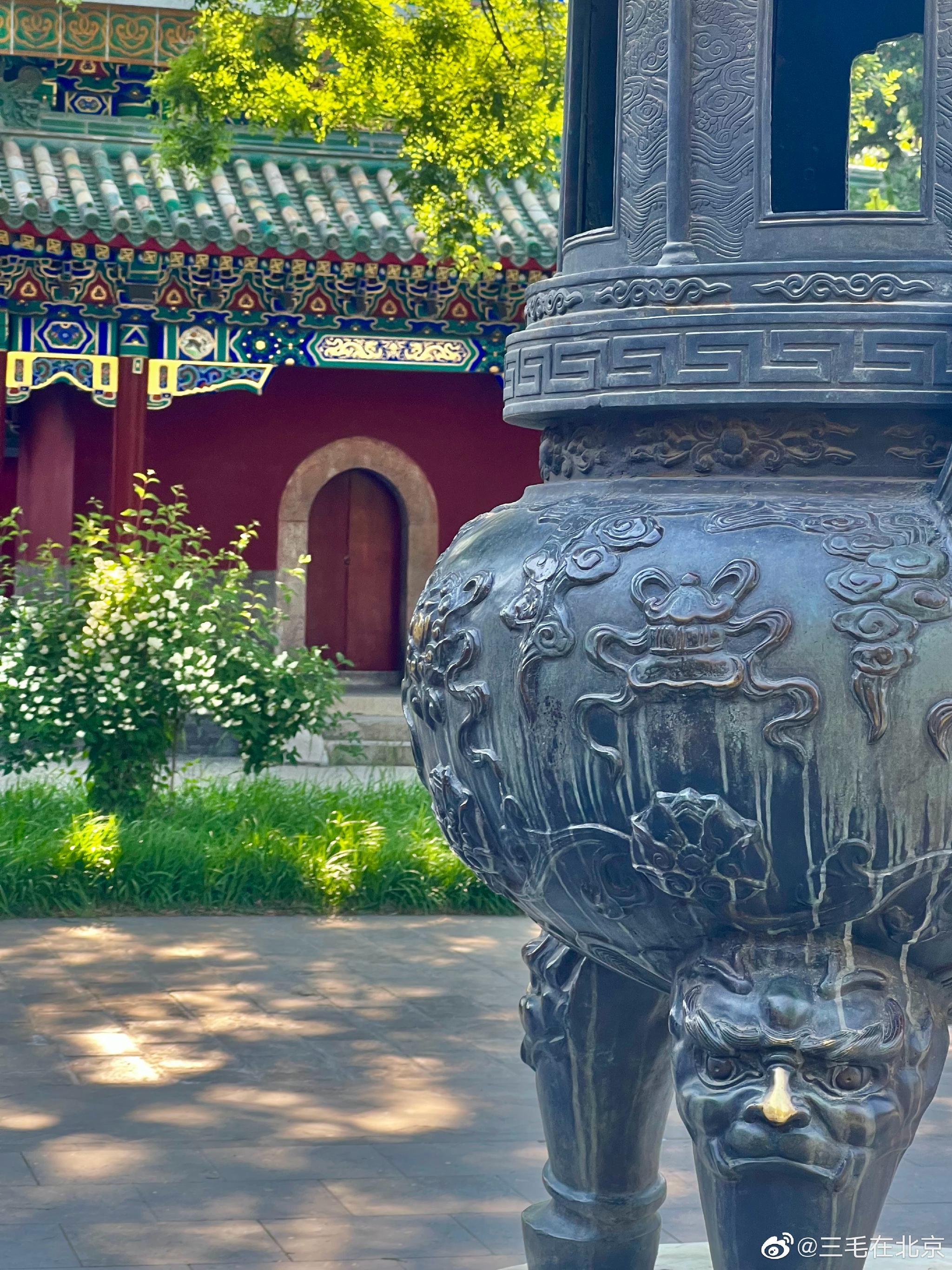 北海公园西天梵净太平花开摄影