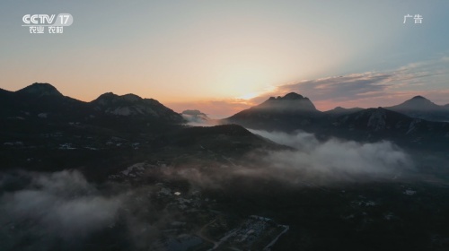 天福山下当年勇望山看海见文登央视聚焦精致文登