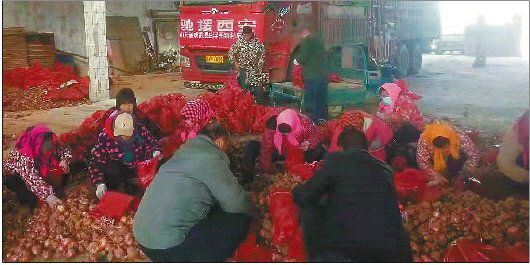 暖心继续！山东菏泽3名村民为西安捐赠20吨洋葱休闲区蓝鸢梦想 - Www.slyday.coM