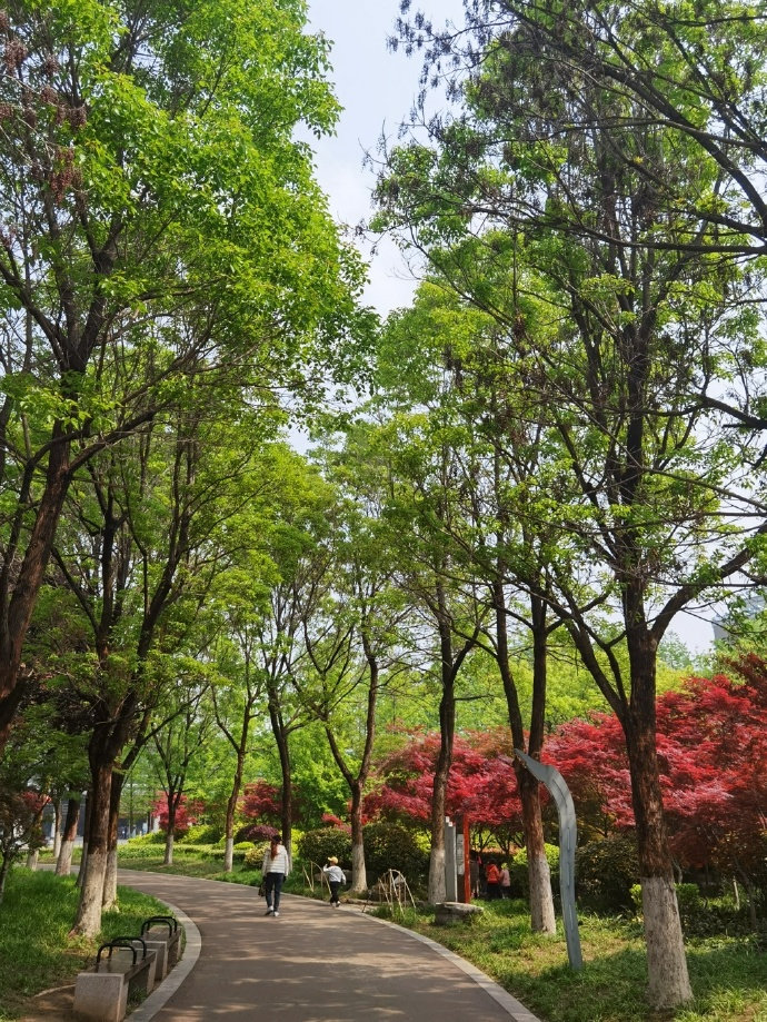 徐州植物园绿树如茵,边走边拍,抬头看看天
