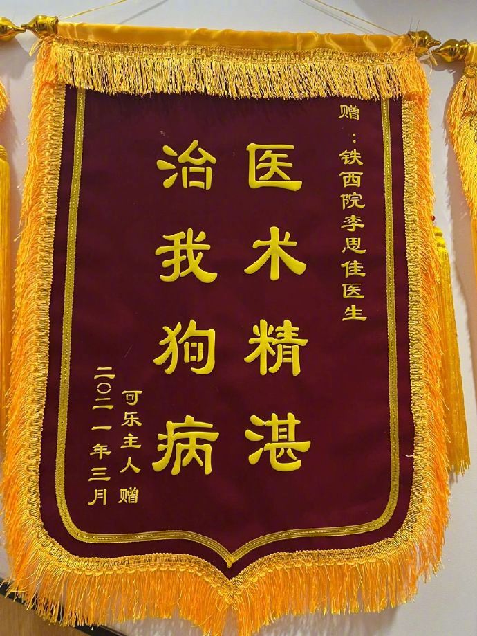 宠物医院的锦旗都超可爱的