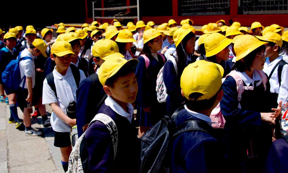 为什么萤火虫在日本文化中如此重要?休闲区蓝鸢梦想 - Www.slyday.coM 为什么萤火虫在日本文化中如此重要?休闲区蓝鸢梦想 - Www.slyday.coM