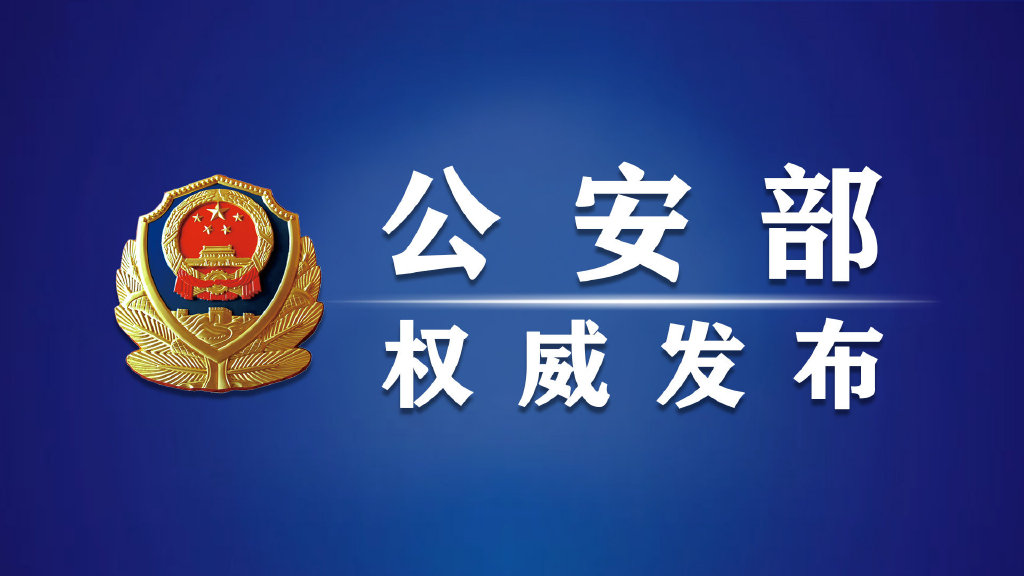 公安部：发挥公安机关职能作用 更好服务保障疫情防控和经济社会发展__财经头条