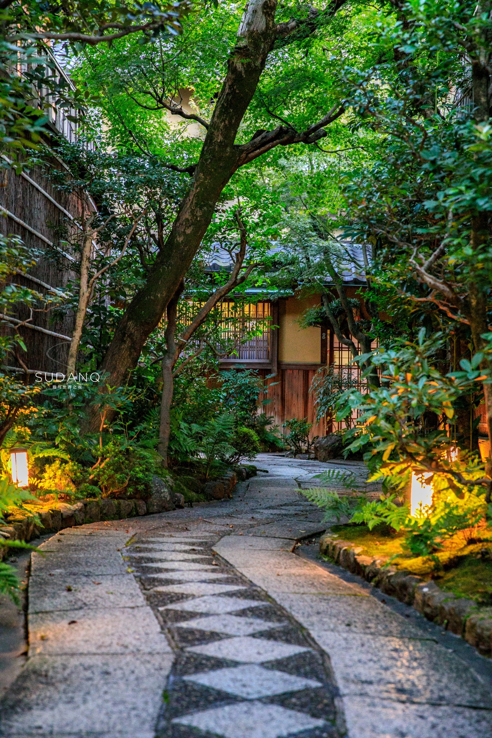 炎炎夏日,如果以下图中的场景是融合在一个庭院中