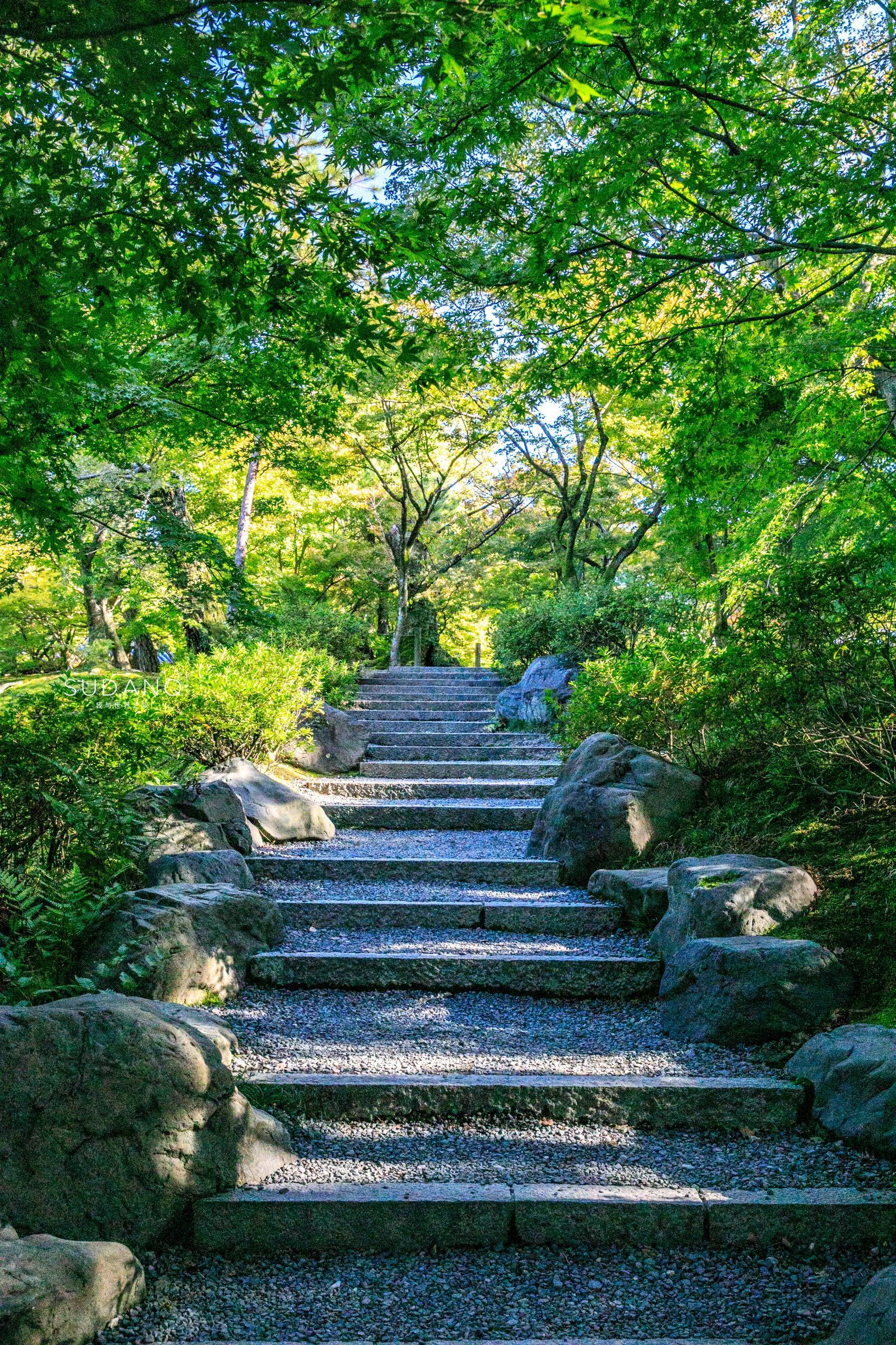 炎炎夏日,如果以下图中的场景是融合在一个庭院中