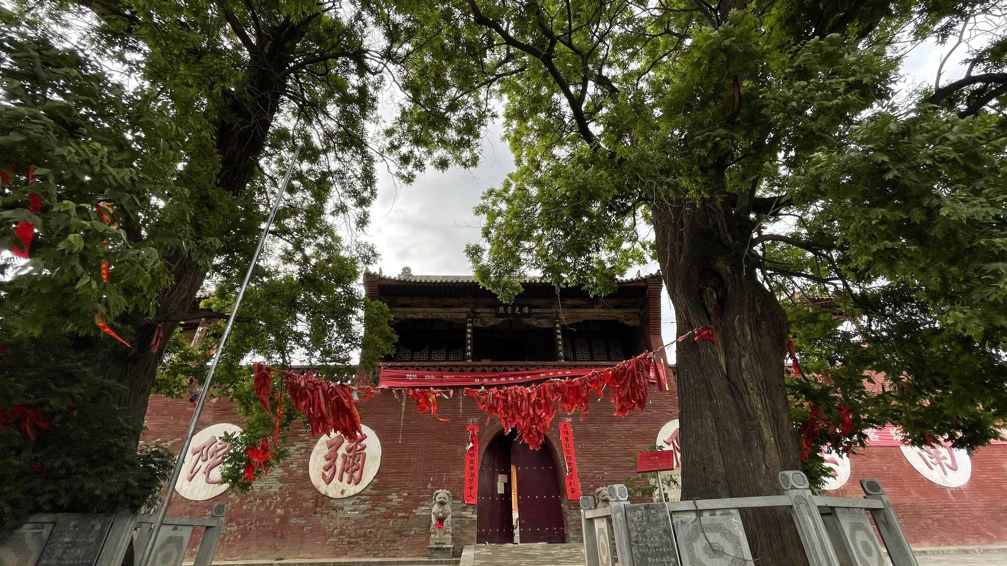 平遥白云寺两棵巨大的唐代槐树,使寺院更显幽静