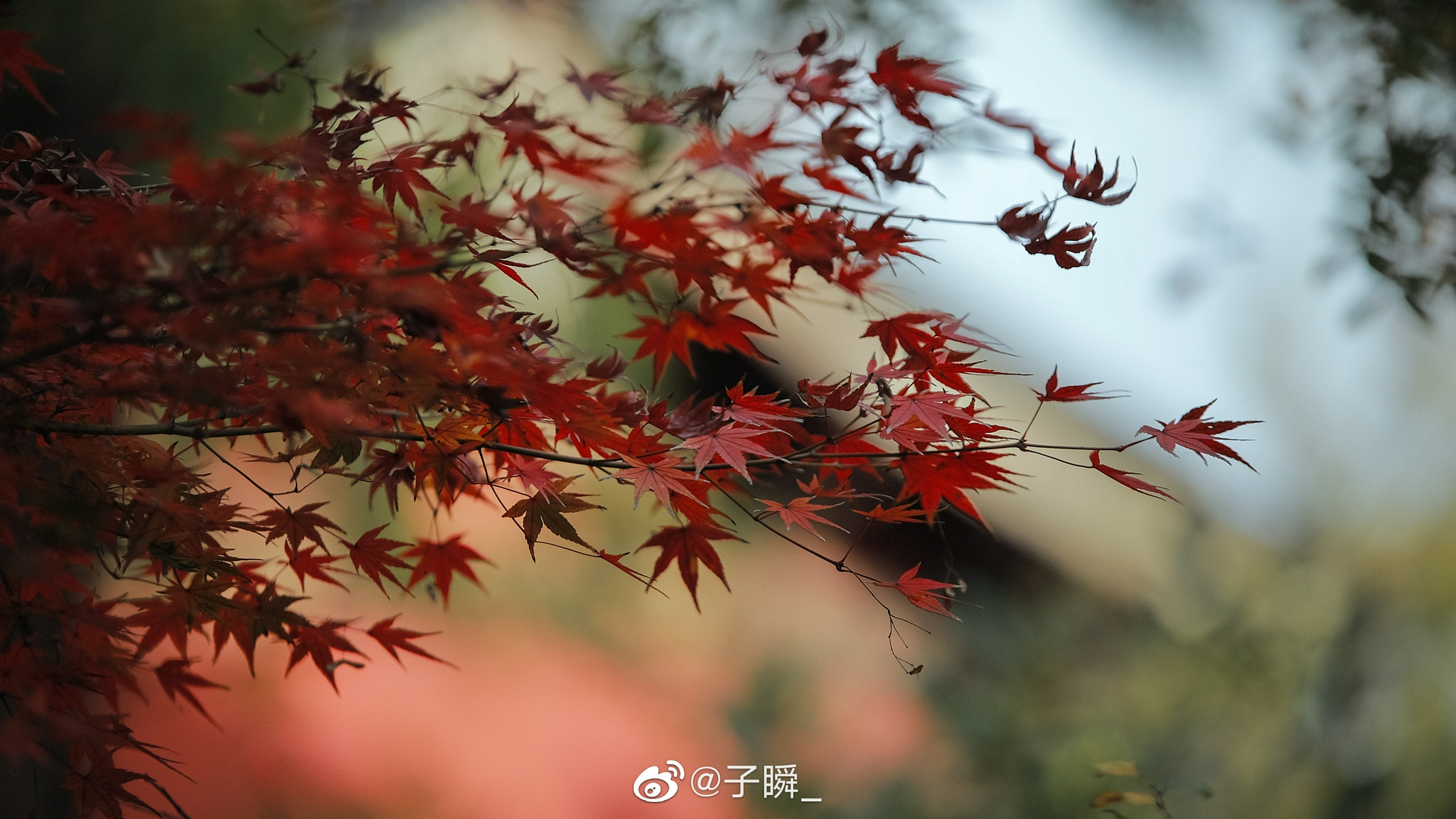 重庆一年四季气温与天气特点 重庆最佳旅游季节是哪个季节